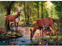 Kit de pintura NEILDEN 5D de diamantes, para adultos, para trabajos manuales, pintura de bordado con diamantes de imitación, pintura de punto de cruz, manualidades para decorar la pared del hogar, 30x40 cm - Arteztik
