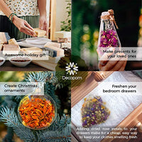 Hierbas secas y flores para hechizos de brujería – Paquete de 18 bolsas de flores secas a granel – Ideal para hacer velas DIY Kit Jabón Aceite Esencial Resina Labial Brillo Incluye Pétalos de Rosa de Lavanda Jazmín - Arteztik
