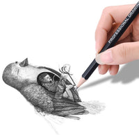 Professional Drawing Sketching Pencil Set - 12 Pieces,SketchingIdeal for Drawing Art, Sketching, Shading, for Beginners &amp,Pro Artists - Arteztik
