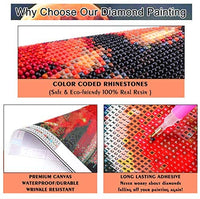 XPCARE Juego de pintura de diamante, redondo completo taladro DIY 5D pintura de diamante por número Kits Luna para decoración de pared hogar adultos y niños 12.0 x 12.0 in, HC-502 - Arteztik
