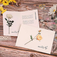 NogaMoga - Juego de 6 pegatinas decorativas con diseño de flores, diseño de plantas de la naturaleza, tamaño grande, pegatinas decorativas transparentes con forma especial para álbumes de recortes, arte, manualidades, diarios de balas - Arteztik
