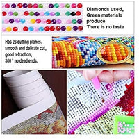 Kit de pintura de diamante 5D para adultos y niños, para bordar con diamantes de imitación, 16.0 x 20.0 in - Arteztik
