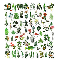 CATaireen Washi - Pegatinas botánicas para decoración de libros de recortes (65 unidades) - Arteztik
