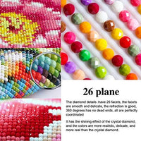 Kit de pintura de diamante 5D para adultos y niños, broca completa, redonda, con diamantes de imitación, arte abstracto, pintura al óleo, perfecto para decoración de la pared del hogar, regalo (12 x 16 pulgadas) - Arteztik
