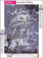 Kit completo de pintura de diamantes 5D redondos por números, doble loro con diamantes de imitación bordados, punto de cruz, suministros de manualidades para decoración de pared en el hogar, oficina, 12 x 16 pulgadas - Arteztik
