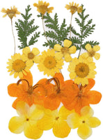 Surtido de flores secas de la naturaleza, flores prensadas, hojas mezcladas, paquete de adornos para álbumes de recortes para bricolaje, adornos de resina, manualidades, velas - Arteztik
