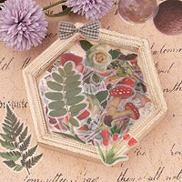 NogaMoga - Juego de 6 pegatinas decorativas con diseño de flores, diseño de plantas de la naturaleza, tamaño grande, pegatinas decorativas transparentes con forma especial para álbumes de recortes, arte, manualidades, diarios de balas - Arteztik
