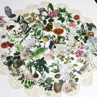 CATaireen Washi - Pegatinas botánicas para decoración de libros de recortes (65 unidades) - Arteztik
