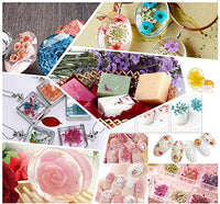 Surtido de flores secas de la naturaleza, flores prensadas, hojas mezcladas, paquete de adornos para álbumes de recortes para bricolaje, adornos de resina, manualidades, velas - Arteztik
