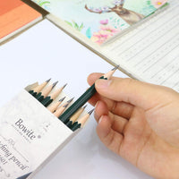 Juego de 16 lápices de dibujo Bowite para dibujar 8B, 7B, 6B, 5B, 4B, 3B, 2B, B, F, HB, H, 2H, 3H, 4H, 5H, 6H para principiantes o artistas profesionales. - Arteztik
