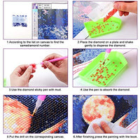 XPCARE Juego de pintura de diamante, redondo completo taladro DIY 5D pintura de diamante por número Kits Luna para decoración de pared hogar adultos y niños 12.0 x 12.0 in, HC-502 - Arteztik

