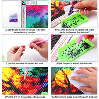 XPCARE Kit de pintura de diamantes, redondo, broca completa, kit de pintura de diamantes 5D por número, para decoración de pared del hogar, adultos y niños, 12 x 12 pulgadas, luna - Arteztik
