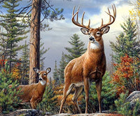 Pintura por números para adultos y niños, pintura al óleo para adultos, por números, para principiantes en lienzo, para pintura de pared, decoración del hogar, 18 x 22 in - Arteztik

