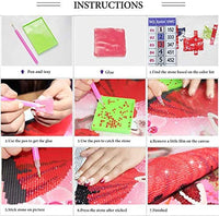 Kit completo de pintura de diamantes 5D redondos por números, doble loro con diamantes de imitación bordados, punto de cruz, suministros de manualidades para decoración de pared en el hogar, oficina, 12 x 16 pulgadas - Arteztik
