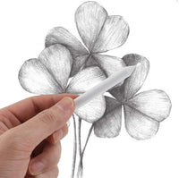 Butterfunny Juego de 14 piezas de mezcla de tachuelas y tortillones de papel con 1 sacapuntas de papel de lija, 1 borrador amasado de dibujo y 1 herramienta de extensión de lápiz para estudiante artista C - Arteztik
