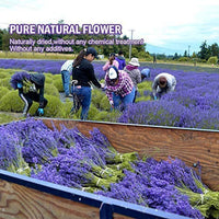 YoleShy flores secas, kit de hierbas secas naturales para baño, fabricación de jabón, fabricación de velas, 9 bolsas incluyen lavanda seca, pétalos de rosa, flor de jazmín, gomphrena Globosa y más - Arteztik
