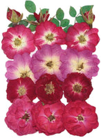 Surtido de flores secas de la naturaleza, flores prensadas, hojas mezcladas, paquete de adornos para álbumes de recortes para bricolaje, adornos de resina, manualidades, velas - Arteztik
