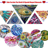 5D DIY Diamond Painting Caja de almacenamiento plegable, Mosaico Hacer Taladro Forma Especial Diamante Kit de Pintura para Bolsas, Bordado Diamante Artes Artesanía Decoración del Hogar (H) - Arteztik
