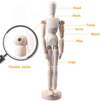 Maniquí de madera Moi Doi, maniquí de madera con soporte, modelo articulado de figura humana de artista, ideal para dibujo/dibujo o decoración de escritorio, 12 pulgadas de alto - Arteztik
