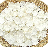 Nava Chiangmai 100 blanco Morera Daisy Flores de papel adornos para álbum de recortes - Arteztik
