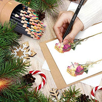 Soucolor - 72 lápices de colores con caja de lata para escuela, oficina y arte - Arteztik
