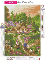 Kit de pintura de diamante 5D con perforación completa, paisaje campestre, pintura de bordado con diamantes de imitación, arte para decoración de pared del hogar, 12 x 16 pulgadas - Arteztik
