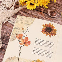 NogaMoga - Juego de 6 pegatinas decorativas con diseño de flores, diseño de plantas de la naturaleza, tamaño grande, pegatinas decorativas transparentes con forma especial para álbumes de recortes, arte, manualidades, diarios de balas - Arteztik
