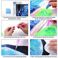 XPCARE Kit de pintura de diamantes, redondo, broca completa, kit de pintura de diamantes 5D por número, para decoración de pared del hogar, adultos y niños, 12 x 12 pulgadas, luna - Arteztik
