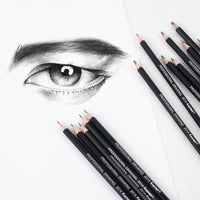 Professional Drawing Sketching Pencil Set - 12 Pieces,SketchingIdeal for Drawing Art, Sketching, Shading, for Beginners &amp,Pro Artists - Arteztik
