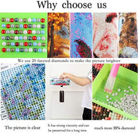 Diamond Painting Kits for Kids, 5D Full Drill Round Crystal Rhinestone Diamond Cross Stitch Art hot air Balloon Diamond Painting Perfect for Home Wall Deco (Diamond Dotz 12x16inch) - Arteztik

