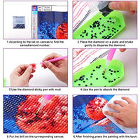 XPCARE Kit de pintura de diamantes, redondo, broca completa, kit de pintura de diamantes 5D por número, para decoración de pared del hogar, adultos y niños, 12 x 12 pulgadas, luna - Arteztik
