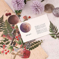 NogaMoga - Juego de 6 pegatinas decorativas con diseño de flores, diseño de plantas de la naturaleza, tamaño grande, pegatinas decorativas transparentes con forma especial para álbumes de recortes, arte, manualidades, diarios de balas - Arteztik
