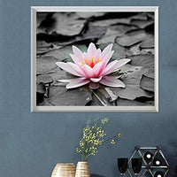Witfox - Kit de pintura de diamantes 5D para bricolaje con números y lirios de agua, 15.7 x 11.8 in - Arteztik
