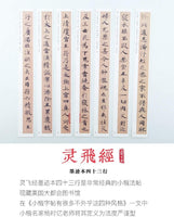 Qiming Wenfang Libro de copybook de caligrafía china - Arteztik
