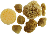 Natural & Synethic esponjas variado valor Pack por Craft Smart - Arteztik
