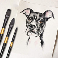 Dainayw - Juego de pinceles de acuarela para pintura profesional de artistas, para acuarelas Gouache, 5 unidades, mango negro dorado - Arteztik
