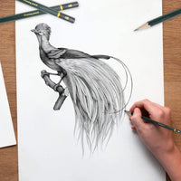 Juego de 16 lápices de dibujo Bowite para dibujar 8B, 7B, 6B, 5B, 4B, 3B, 2B, B, F, HB, H, 2H, 3H, 4H, 5H, 6H para principiantes o artistas profesionales. - Arteztik
