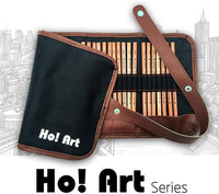 Juego de lápices de dibujo, Ho! Kit de dibujo artístico de 30 piezas, lápices de grafito, lápices de carbón, bolígrafo borrable de papel, gomas de borrar, bolsa de lona para manualidades, regalo perfecto para niños, adolescentes, adultos, artistas princip - Arteztik
