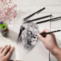 Lápices de dibujo premium – 24 piezas profesionales juego de lápices incluye grafito, carbón y lápices de borrador (7H-14B), lápices de grafito sombreado para artistas adultos y niños, bocetos - Arteztik
