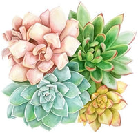 Kotwdq Kit de pintura de diamante para adultos y niños, plantas suculentas, taladro completo para decoración de pared del hogar, 12.0 x 12.0 in (tamaño de lienzo) - Arteztik
