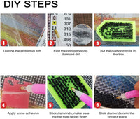 Cenda - Kit de pintura de diamante para adultos, colorido, lunares, mariposa roja y rosa, 11.8 x 15.7 in, 1 paquete - Arteztik
