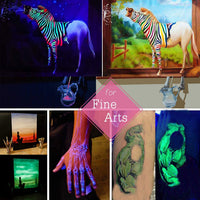 HEMOER 12 colores brillan en la oscuridad pigmento en polvo, 0.7 oz/botella de polvo de mica luminoso perfecto para resina epoxi seguro no tóxico fluorescente para slime, uñas, pintura acrílica, Halloween, arte fino y manualidades - Arteztik
