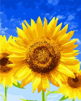 Pintura por números para adultos 16 x 20 pulgadas lienzo DIY pintura al óleo para adultos niños principiantes girasol azul cielo (sin marco) - Arteztik
