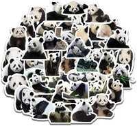 DOFE 50 pegatinas con diseño de panda, resistentes al agua, pegatinas láser para coche, 50 unidades, pegatinas para ordenador portátil, motocicleta bicicleta equipaje, parches de graffiti para adolescentes (50 unidades Lovely Panda) - Arteztik
