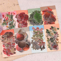 NogaMoga - Juego de 6 pegatinas decorativas con diseño de flores, diseño de plantas de la naturaleza, tamaño grande, pegatinas decorativas transparentes con forma especial para álbumes de recortes, arte, manualidades, diarios de balas - Arteztik
