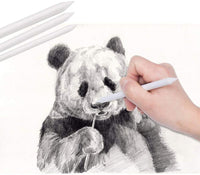 YOTINO Juego de lápices de dibujo y boceto, 35 piezas, juego de lápices de dibujo profesional con cremallera, kit de dibujo con bastones de carbón de grafito para adultos y niños - Arteztik

