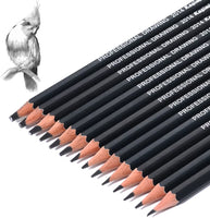 Professional Drawing Sketching Pencil Set - 12 Pieces,SketchingIdeal for Drawing Art, Sketching, Shading, for Beginners &amp,Pro Artists - Arteztik
