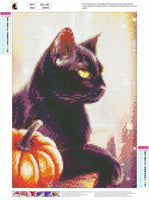 MXJSUA - Kit completo de pintura de diamante 5D para manualidades con diamantes de imitación, para decoración de pared del hogar, 12 x 16 pulgadas, luces negras de gato y calabaza - Arteztik
