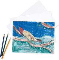 Pacon - Papel de dibujo blanco, 78 libras, color blanco puro, 500 hojas/ream, Blanco - Arteztik
