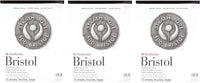 Strathmore (580-72 500 Series Bristol, superficie de placa de 2 capas, 11 x 14 pulgadas, 15 hojas - Arteztik
